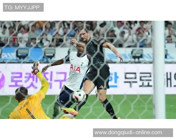 热刺逆转拜仁6-2友谊赛精彩瞬间全场沸腾数据分析揭秘